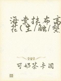 海棠抹布高岭之花(生/触/双)