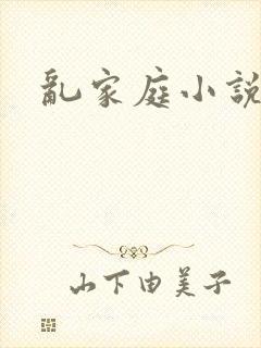 乱家庭小说封面