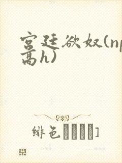 宫廷欲奴(np高h)