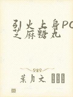引火上身POP芝麻糖丸