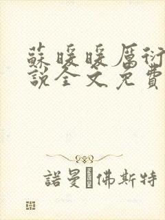 苏暖暖厉衍琛小说全文免费阅读