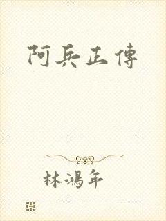 阿兵正传封面