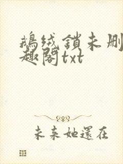 鹅绒锁未删除笔趣阁txt