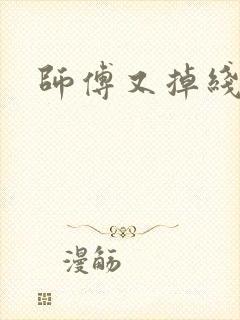 师傅又掉线了封面