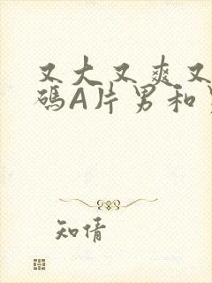 又大又爽又黄无码A片男和男封面