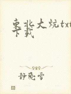 东北大炕txt下载封面