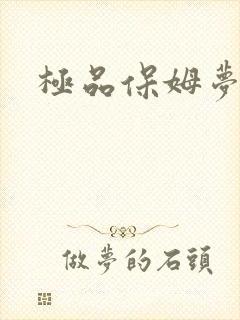 极品保姆梦梦封面