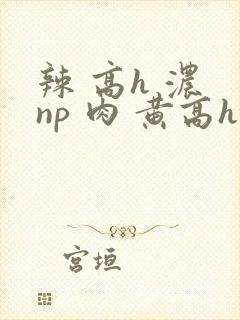 辣 高h 浓 np 肉 黄高h封面