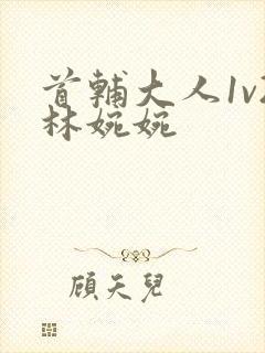 首辅大人1v2林婉婉封面