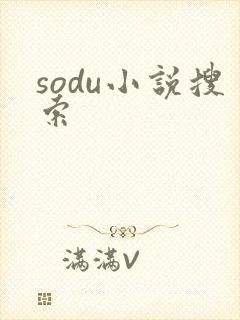 sodu小说搜索
