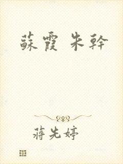 苏霞 朱干封面