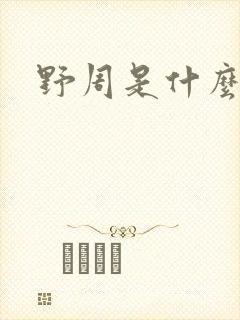 野周是什么意思