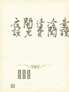 夜阑清冷意欢小说免费阅读