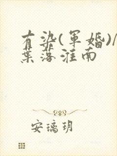 有染(军婚)/叶落淮南