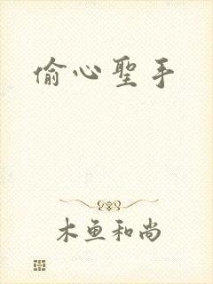 偷心圣手