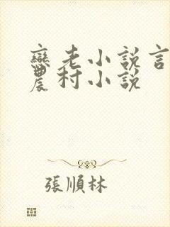 恋老小说言情网农村小说