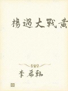 杨过大战黄蓉