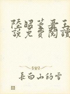 陆昭菱晋王的小说免费阅读