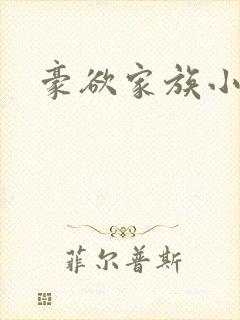 豪欲家族小说封面