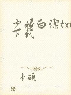 少妇白洁txt下载