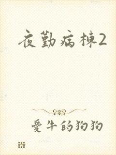 夜勤病栋2封面