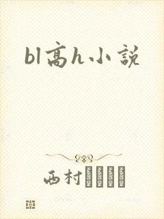 bl高h小说