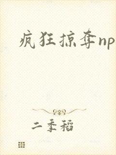 疯狂掠夺npc