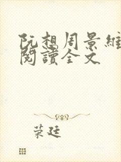 阮想周景维免费阅读全文