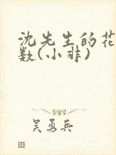 沈先生的花式调数(小非)