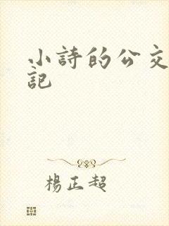 小诗的公交车日记