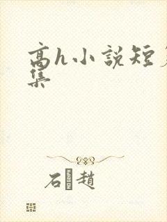 高h小说短篇合集封面