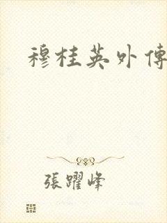 穆桂英外传封面