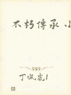 不朽传承 小说封面