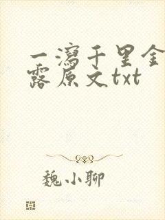 一泻千里金银花露原文txt封面