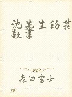 沈先生的花式调数书