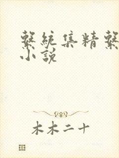 系统集精系统 小说封面