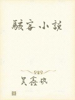 骇客小说