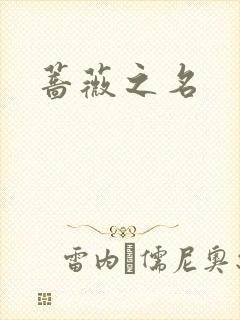 蔷薇之名封面