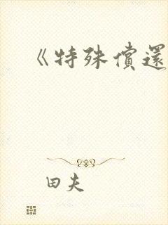 《特殊偿还》封面