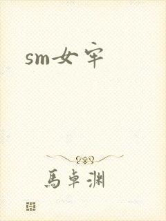 sm女牢