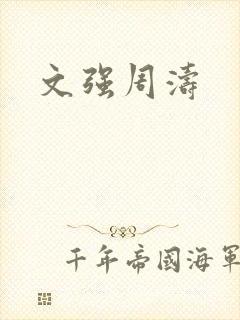 文强周涛