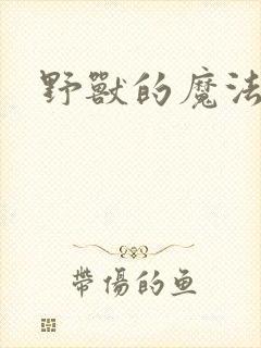 野兽的魔法师封面