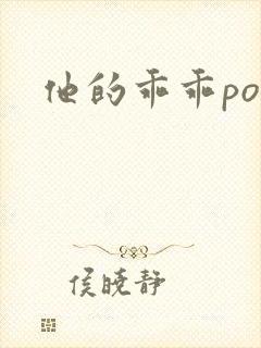他的乖乖pop封面