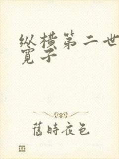 纵横第二世界 宽子封面