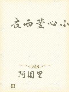 夜雨莹心小说
