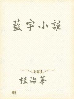 蓝宇小说