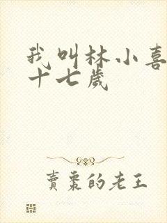 我叫林小喜今年十七岁