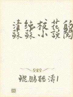 清纯校花的日常苏苏小说阅读全文