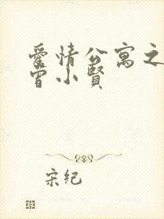 爱情公寓之极品曾小贤封面