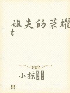 姐夫的荣耀txt